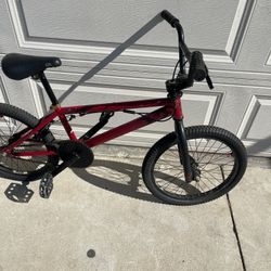 20” Dk Bmx Ready To Ride Good Condition 