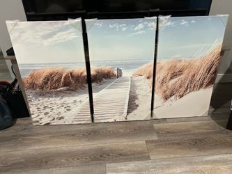 Three piece beach picture 34” x 60” total size