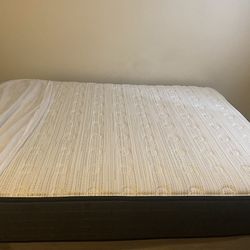Full Sized Orthopedic Mattress (comes with frame)