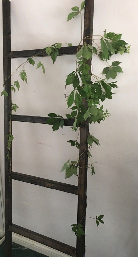5 1/2 feet ladder