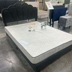 Queen Platform Bed With LED Lights (black) Cama Queen Con Luces 