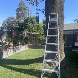 8’ 8 Foot Ladder 