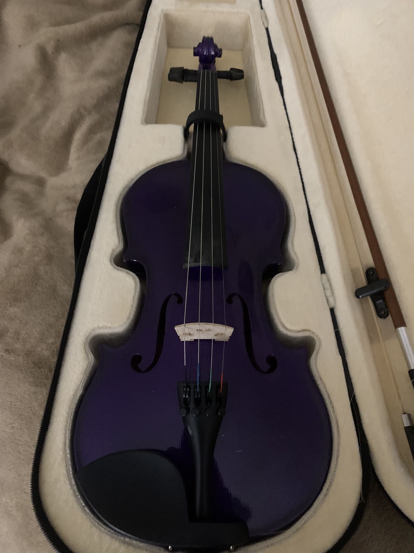 Purple Violin 