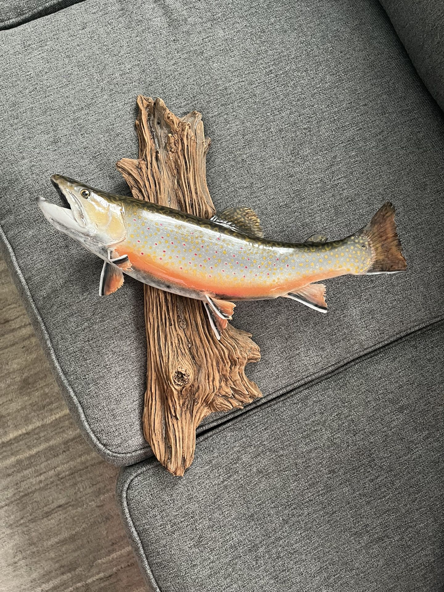 Brook Trout Wall Mount