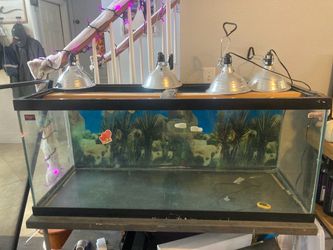 100 gallon reptile tank