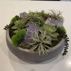 Decorative Concrete Plant Bowl