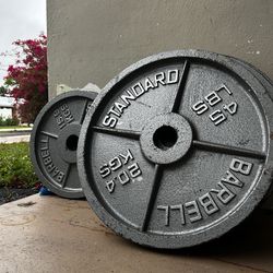 Cast iron metal plates 45 & 25 LBS
