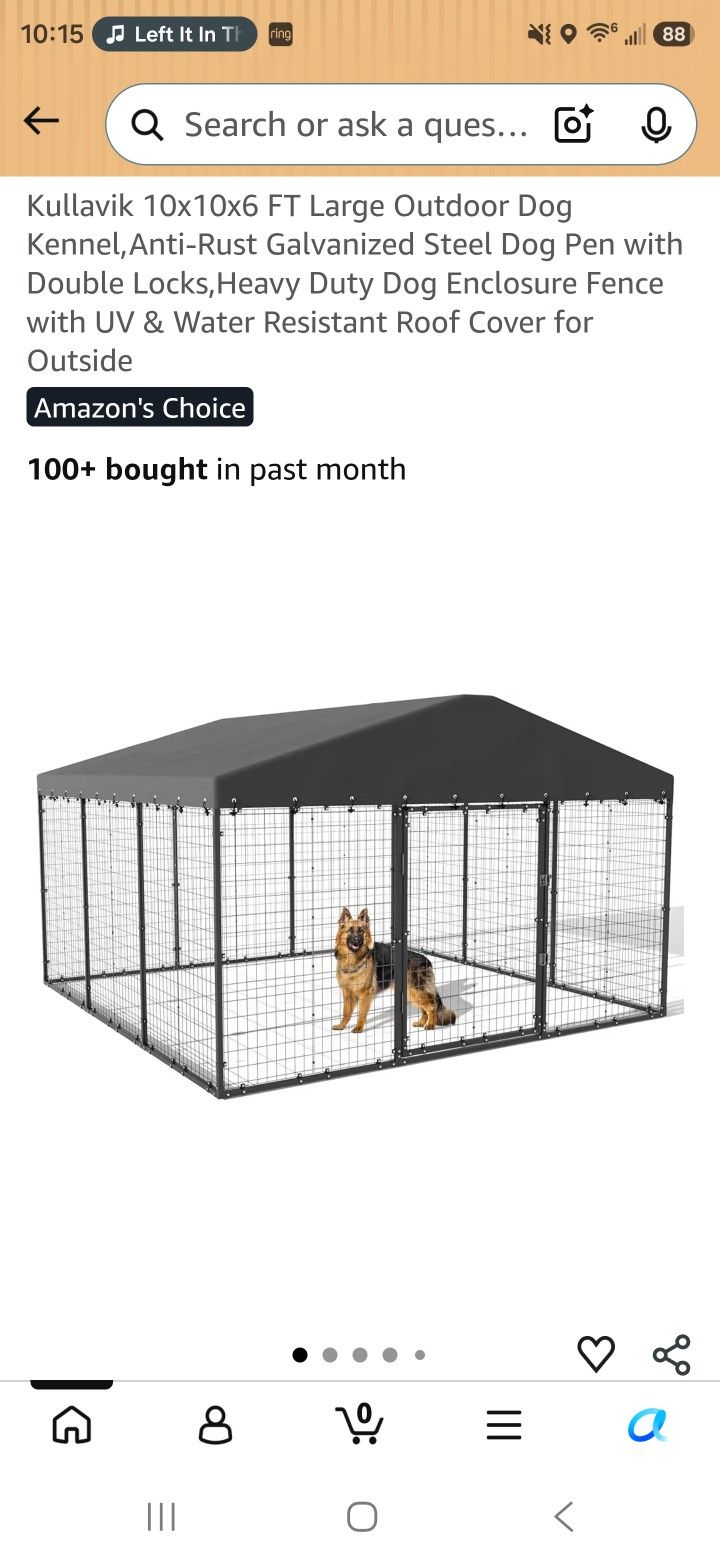 10 X 10 Dog Run