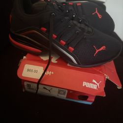 New Puma 5.5 Y $25