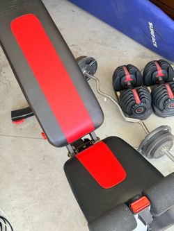 Bowflex 5.1s Bench + weight bar