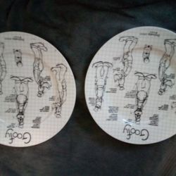 2 Goofey Plates Medium 