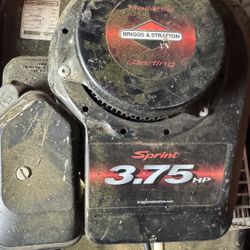 Briggs & Stratton Sprint 3.75 HP engine,