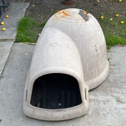 Dog House