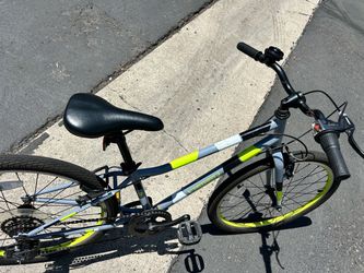 Guardian bike small