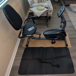 Recumbent Exercise Bike