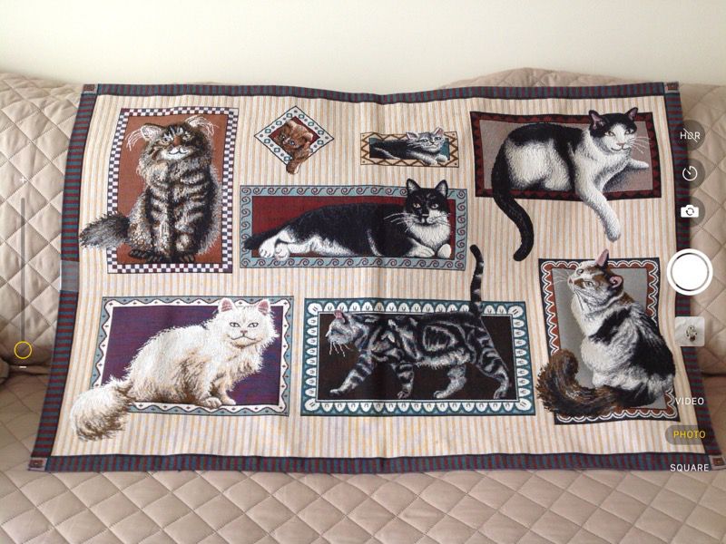 Cat tapestry for framing/hanging