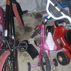 Lil.kids Bike Pink 