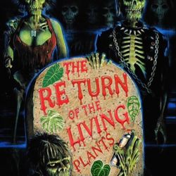 Selling Indoor Plants (Best Prices)