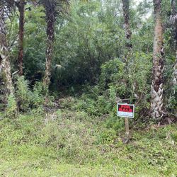 2.5 Acres For Sale Golden Gate Estates 