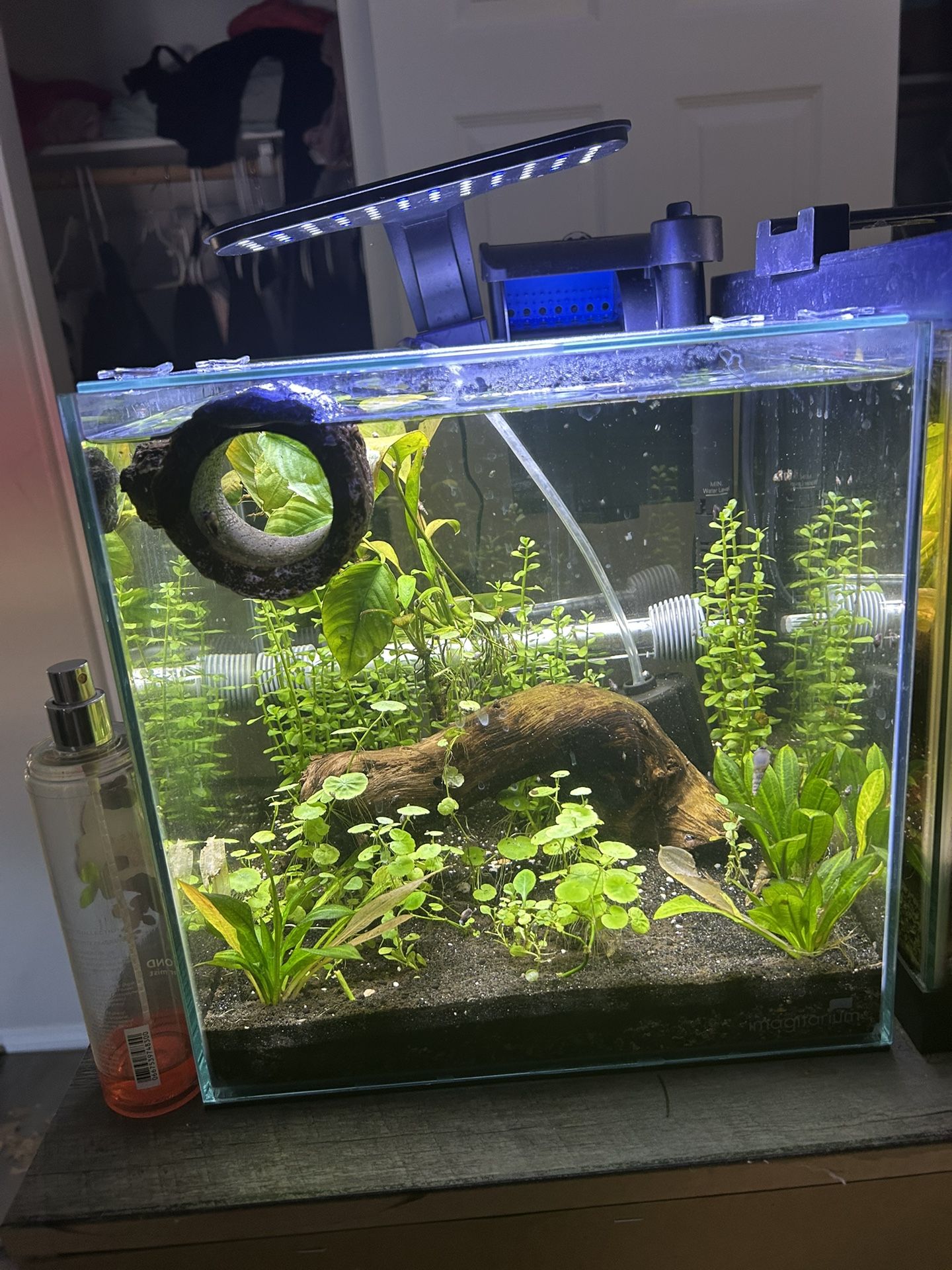 planted aquariums