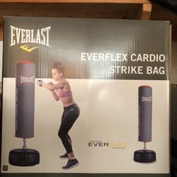 Everlast Ever felt Cardio Strike bag New In Box 