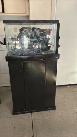 Fish tank