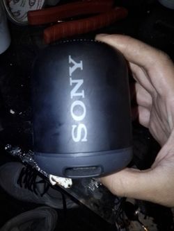 Portable Bluetooth Speaker (Sony)