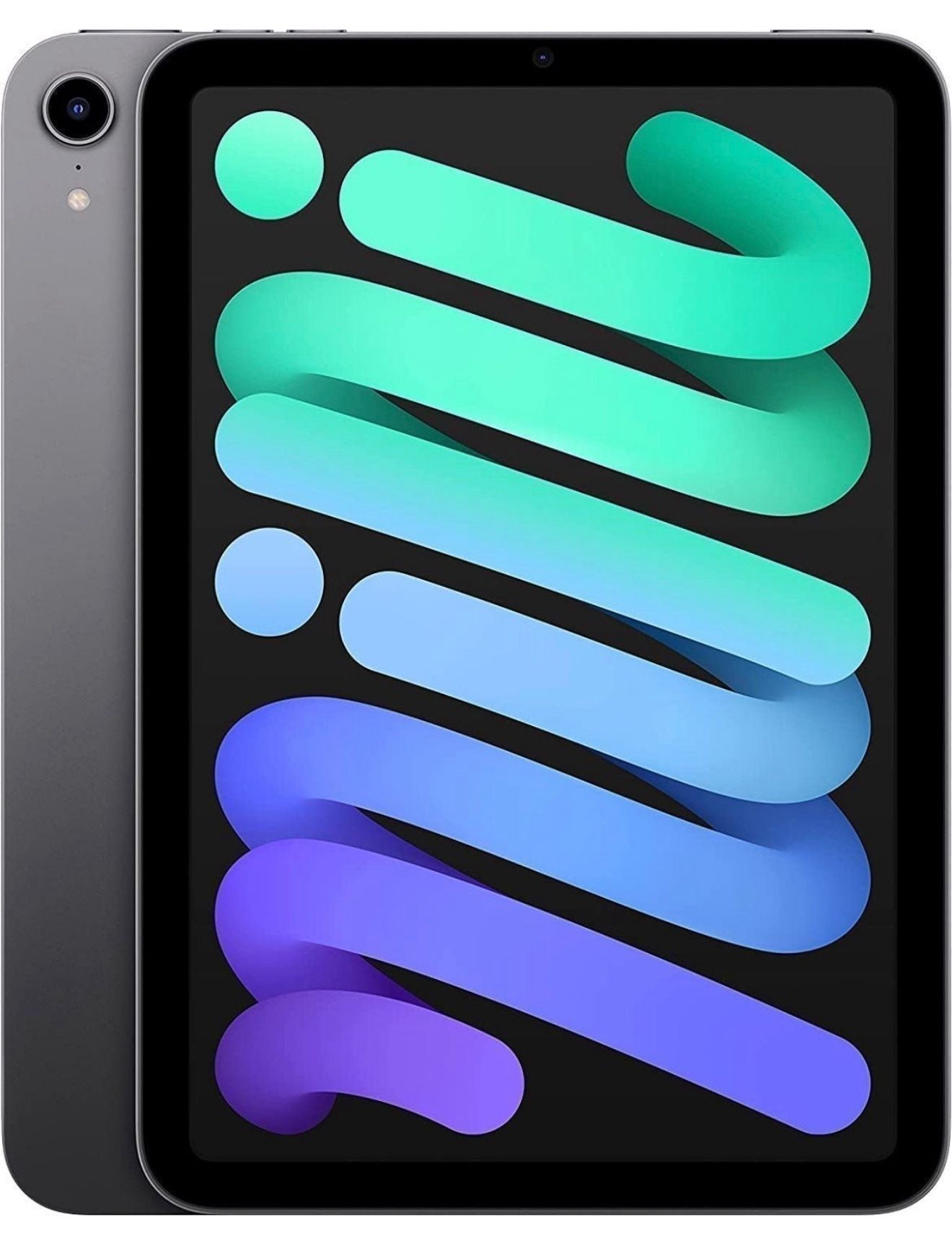 2021 Apple iPad Mini Space Gray