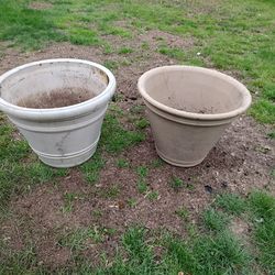 Two flowers pot  $50 for both