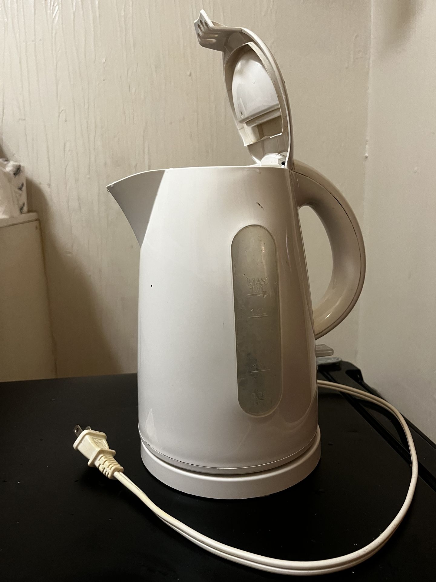 Electric tea kettle