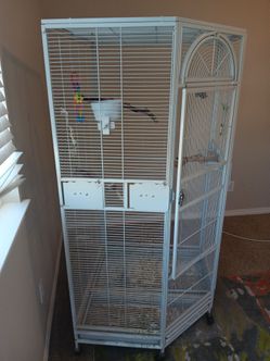 Bird cage