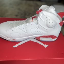 Air Jordan 6 Retro