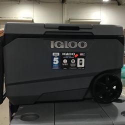 Igloo Cooler