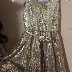 Disney Gold Dress 