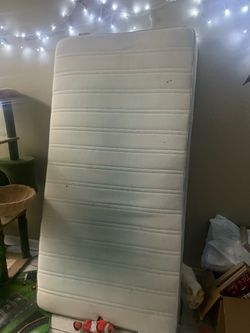 Free Twin Mattress