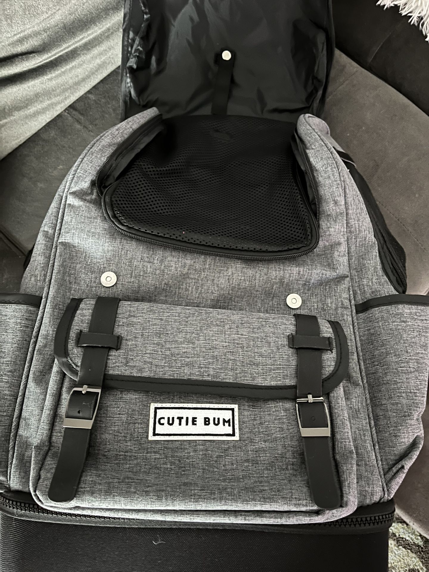 Doggie Back Pack Carrier