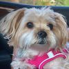 Lucy