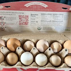 Eggs Dozen