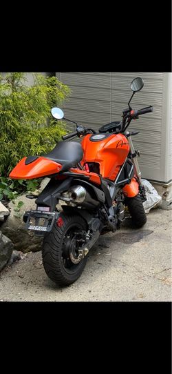 Amigo Morro Honda Grom Clone