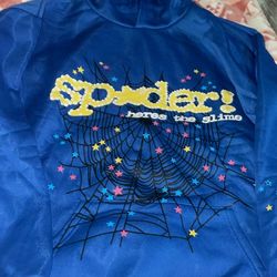 Spider hoodie