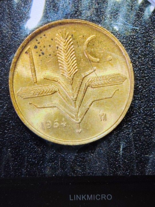 Coin