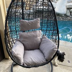 Brand New Egg Chair