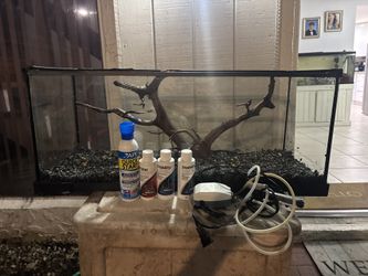 20 Gallon long (need gone ASAP)