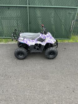 Brand New Mini Wasp 110cc Atv With Parental Controls 