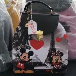 Bookbag/purse