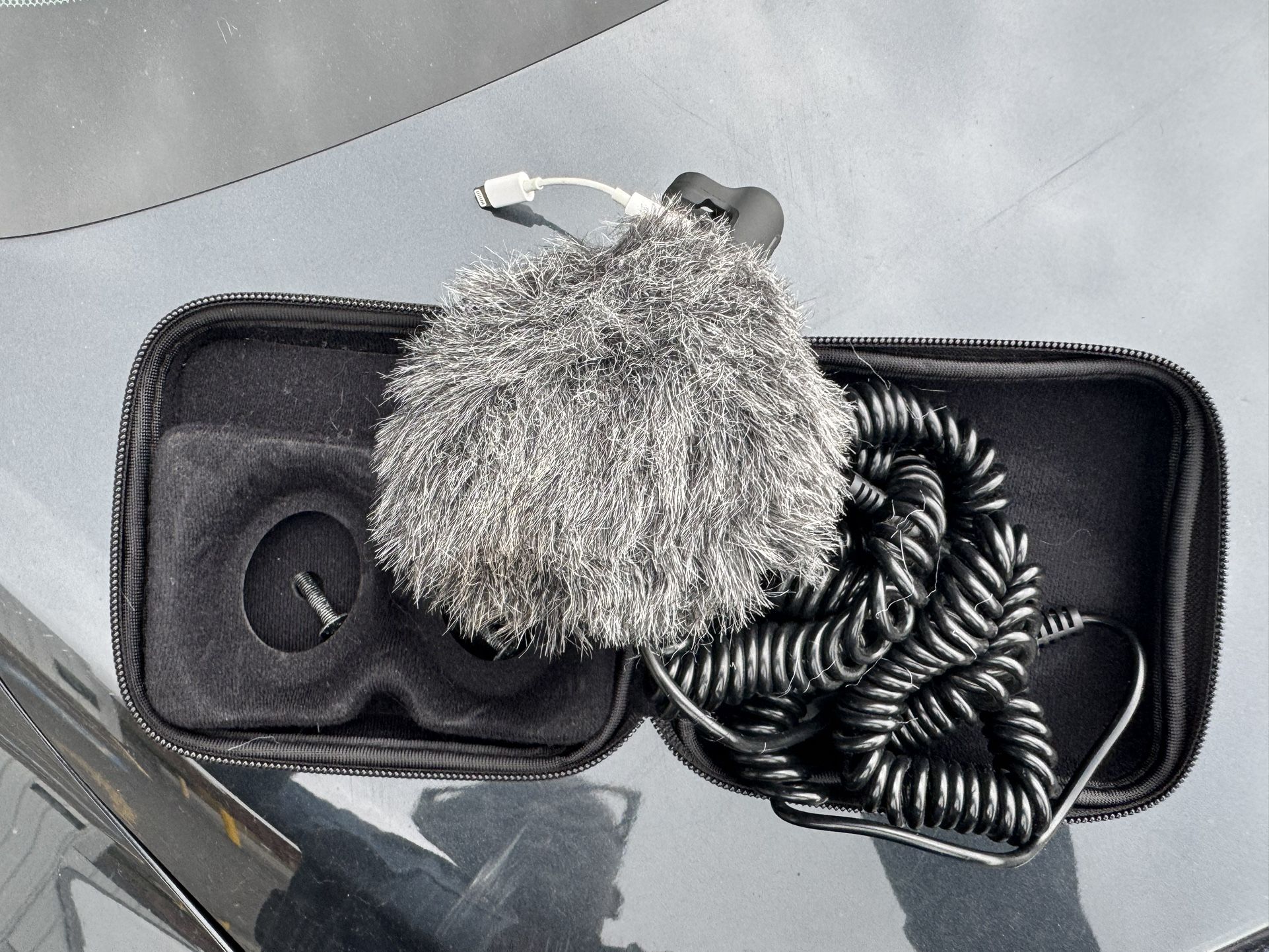 Bose microphone