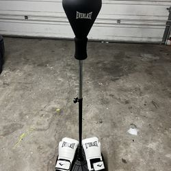 standing punching bag