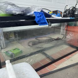 Aquarium 