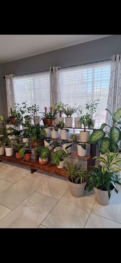 Plant Stand great condition