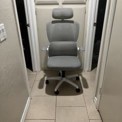 Ergonomic Office Chair